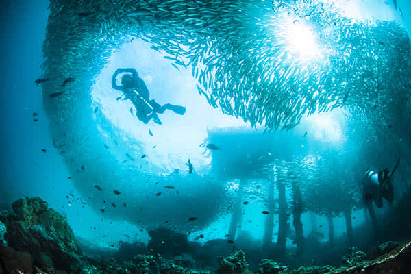 Alila Purnama - Cenderawasih Bay -Day 4