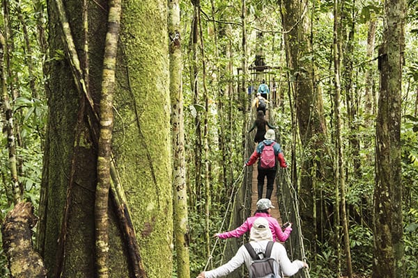 Amatista - Marañon River