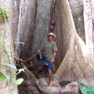 A man standing by the ceiba big tree