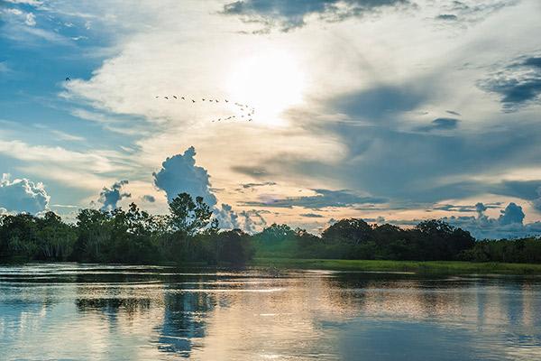 Aria Amazon’s 4-Day Itinerary Day Three - Amazon River Views.