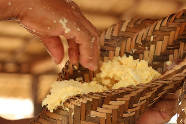 Amazon Dolphin - Amazonian Waters