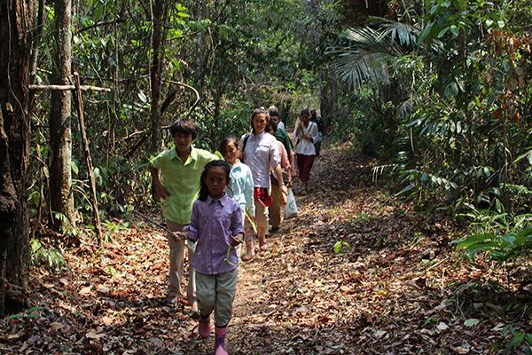 Amazon Dream - Tapajos River