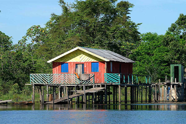 Amazon Eco Boat - Discovery Cruise