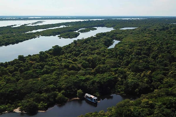 Amazon Eco Boat - Evasion Cruise