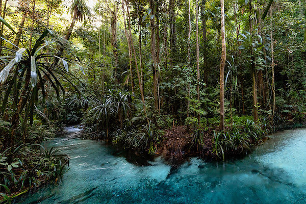 Aqua Blu - Asmat Tribe & Raja Ampat Expedition - Day 12