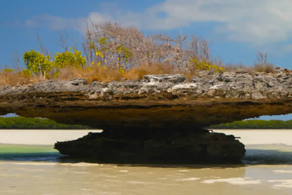 Aqua Lares - Zanzibar, Tanzania & The Coralline Seychelles: Zanzibar - Mahe - Day 6