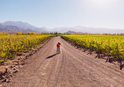 Cute Couple Walking Down The Vineyards