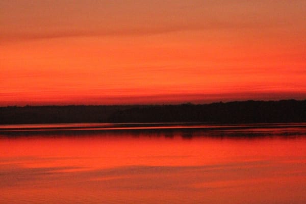 Belle Amazon - Deep Immersion