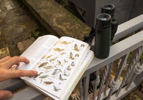 Binoculars,And,Bird,Guide,Birdwatching