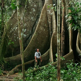 A man standing by a large tree