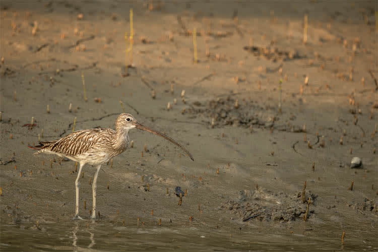 Catamaran - Amazon of the East - Day 1