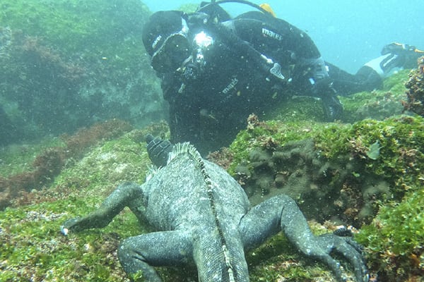 Diver II - Diving Itinerary