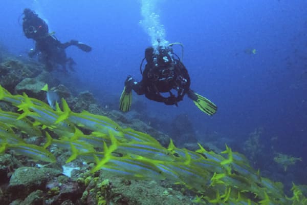 Diver II - Diving Itinerary