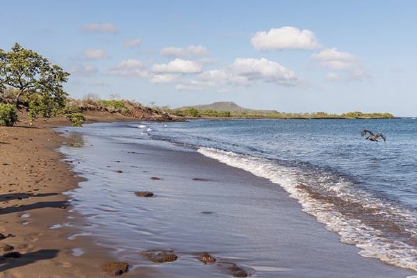 Diver II - Naturalist Itinerary