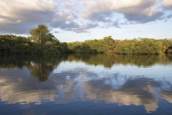 Diver II - Naturalist Itinerary