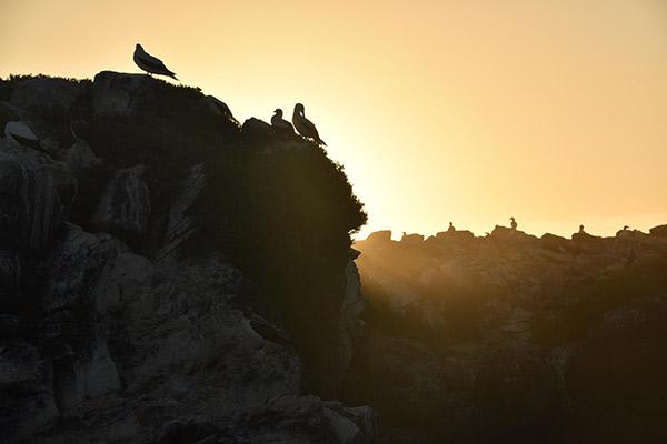 Elite’s 4-Day Itinerary Day Two - Española Island.