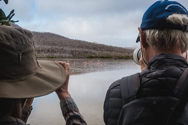 Origin's 15-Day Itinerary 'A+B' Day Eight - Flamingo Sighting.