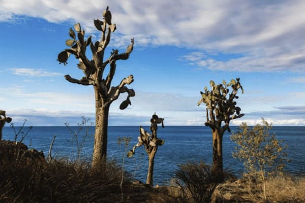 Galapagos Explorer - West