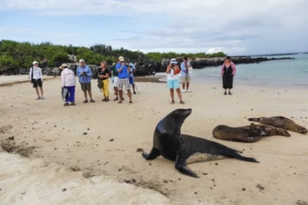 Galaxy - Eastern & Central Islands 'C'