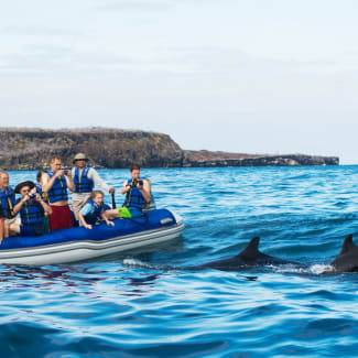 People on a zodiac observing playing dolphins