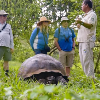 Group on a hike observing a tortoise