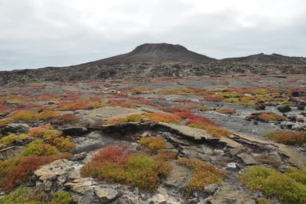 Galaxy - Western Islands 'B'