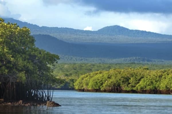 Galaxy - Western Islands 'B'