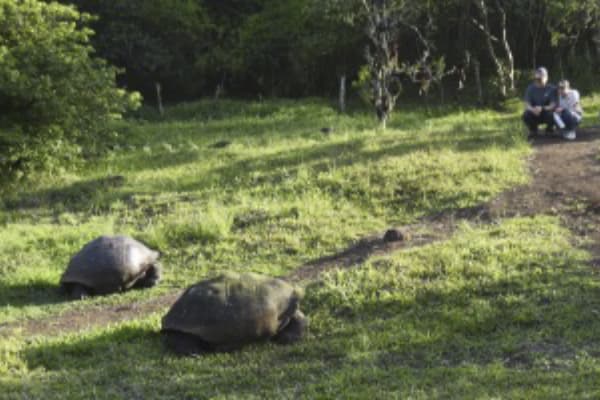 Galaxy Orion - Naturalist Itinerary