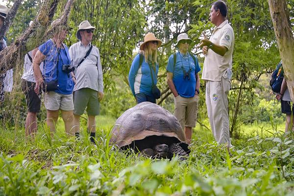 Alya's 6-Day Itinerary A Day One - Embarkation.