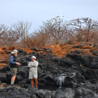 People on the island