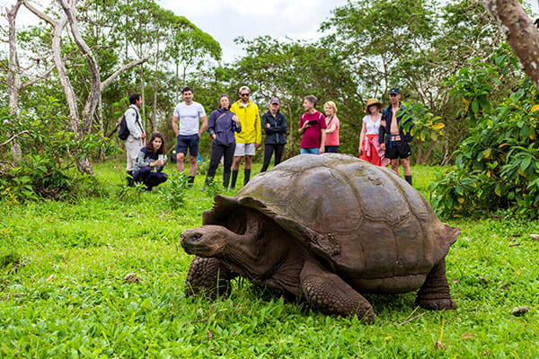 Hermes - Northern Islands