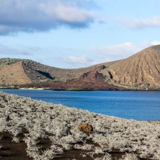 Landscape of Galapagos