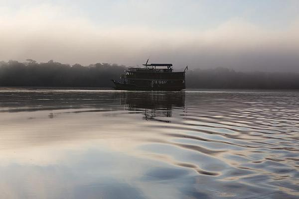 Jacaré Açu - Anavilhanas Park Rio Negro