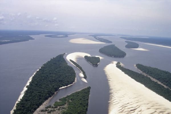 Jacaré-Tinga - Jau National Park Plus