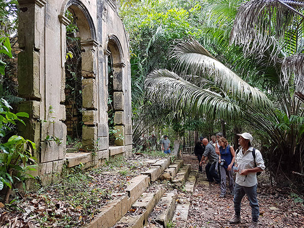 Acqua 3-Day Cruise Itinerary Day Two - Exploring the jungle.