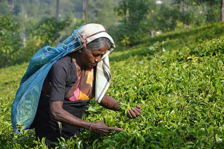 Kindat Pandaw - Wonders of The Himalayas - Day 7