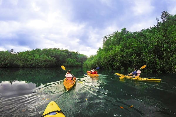 Kontiki - Pura Vida Costa Rica