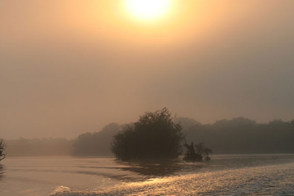La Jangada (Katerre) - Jau National Park Plus