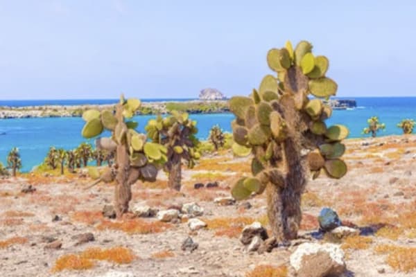 Letty Yacht - Northern & Central Islands