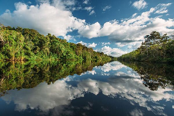 Aqua Nera’s 8-Day Itinerary Day Seven - Mirrored Forest of the Amazon River.