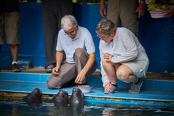 Perla - Marañón River