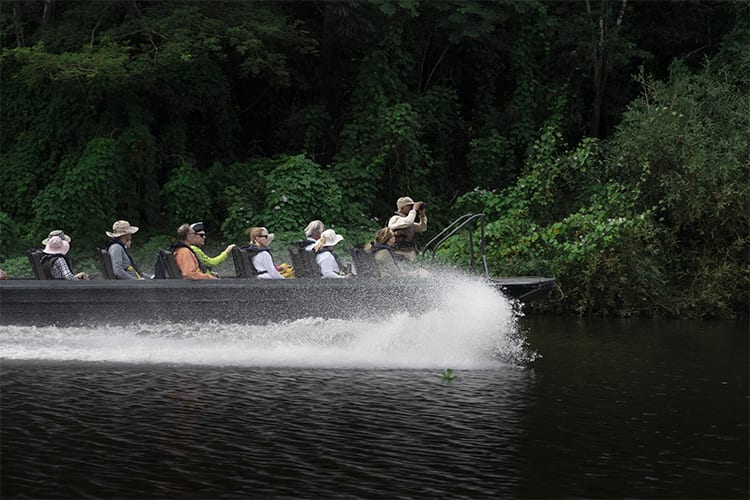 Pure Amazon - 7-Night Itinerary