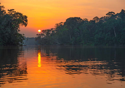 Reflection Of A Sunset, In The Amazon
