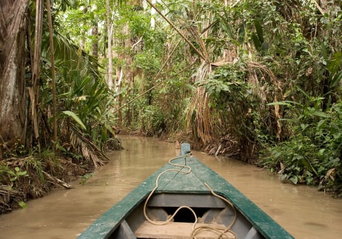 Lake Sandoval In Tambopata Natural Reserve