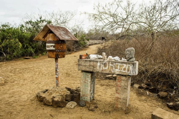 Seaman Journey - 5-day Cruise 