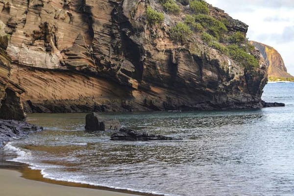 Seaman Journey - Full Galapagos Journey 