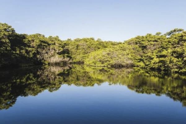 Seaman Journey - Full Galapagos Journey 