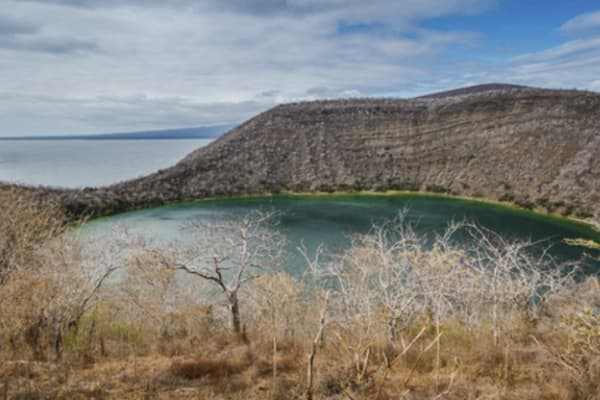 Seaman Journey - Full Galapagos Journey F1