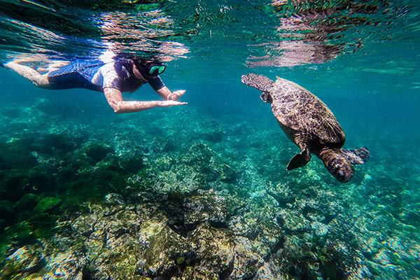 Nemo III's 8-Day Northern Islands Itinerary Day Three - Snorkelling Excursion.