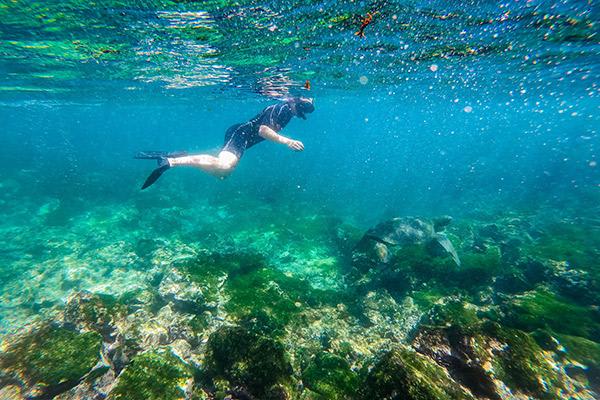 Nemo III's 4-Day Northern Islands Itinerary Day Three - Snorkelling Excursion.